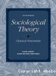 Sociological theory vignette