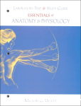 Essentials of anatomy andamp; physiology vignette
